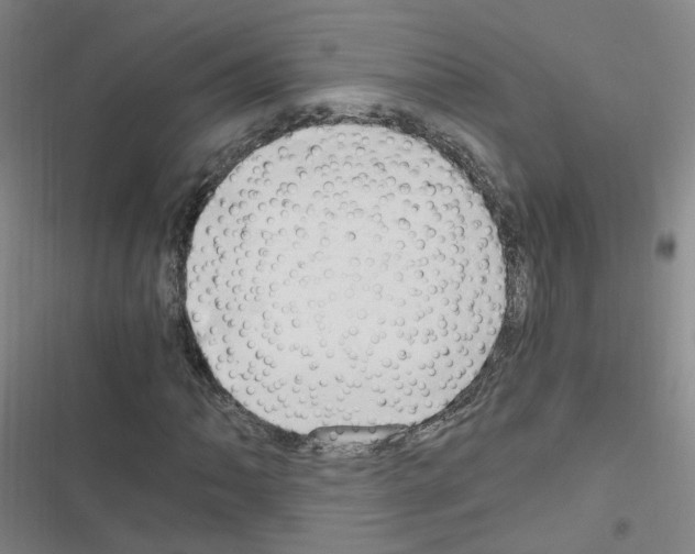 X0000116641062201001251131