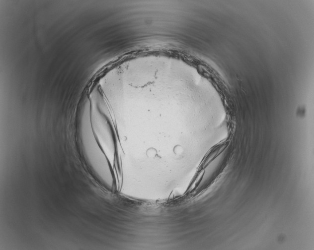 X0000116641065201001251131