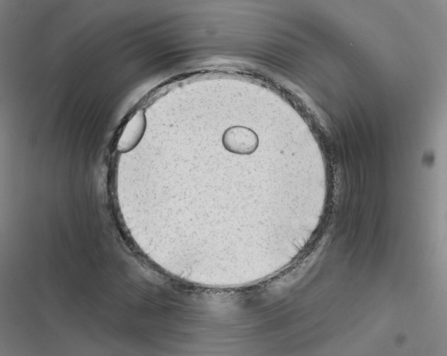 X0000116641066201001251131