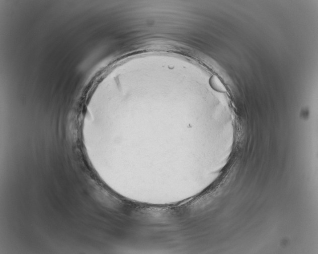 X0000116641067201001251131