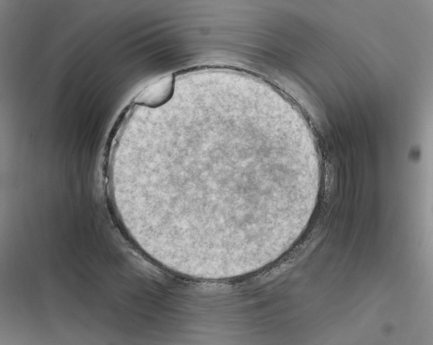 X0000116641068201001251131