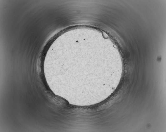 X0000116641069201001251131