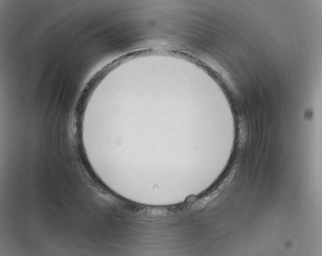 X0000116641070201001251131