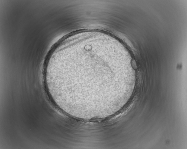 X0000116641071201001251131