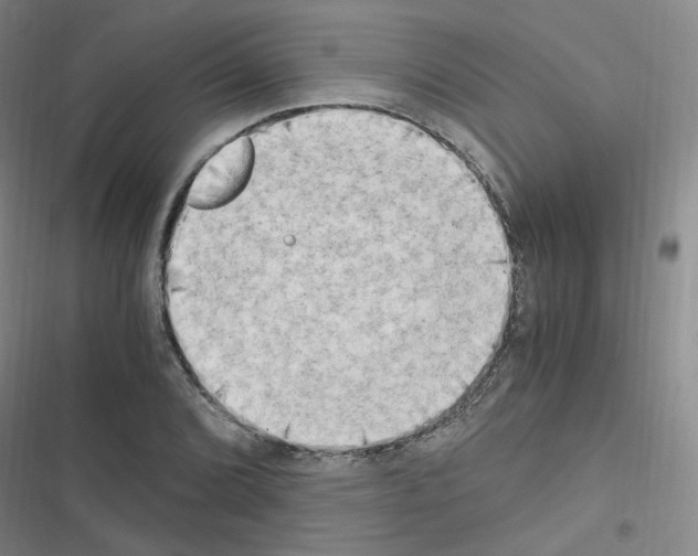 X0000116641072201001251131