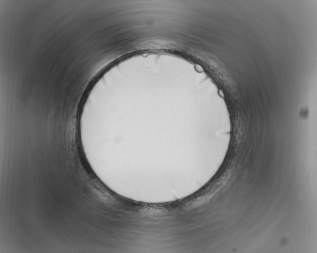 X0000116641073201001251131