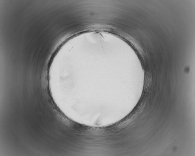 X0000116641075201001251131