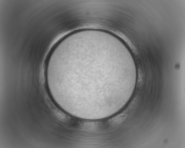 X0000116641078201001251131