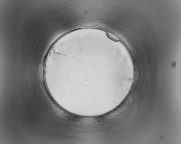 X0000116641079201001251131