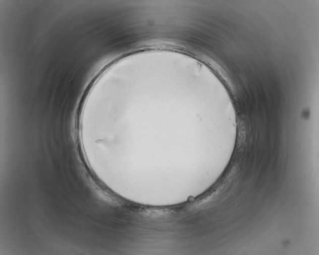 X0000116641082201001251131