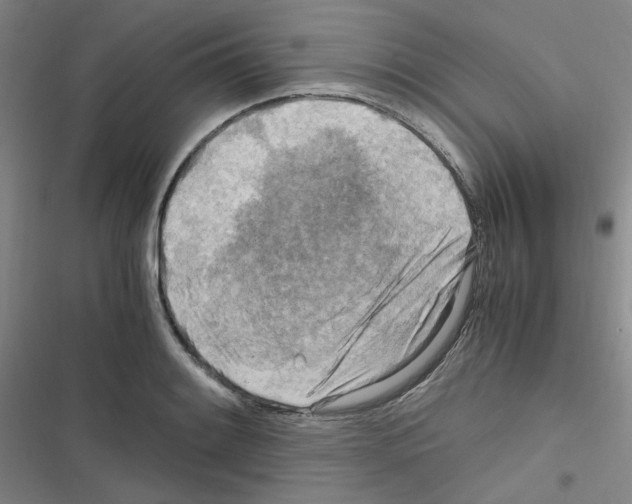 X0000116641084201001251131