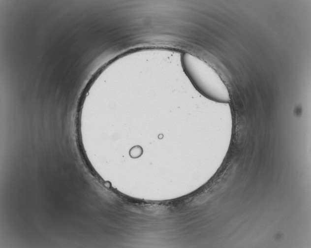 X0000116641085201001251131