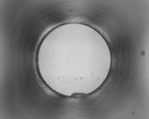 X0000116641086201001251131