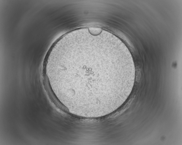 X0000116641087201001251131