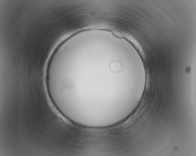 X0000116641088201001251131