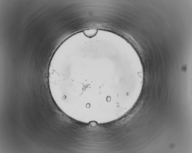 X0000116641089201001251131