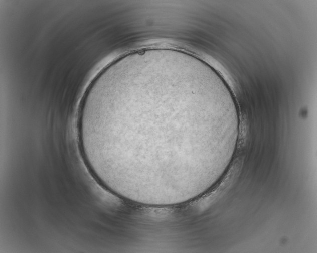 X0000116641090201001251131