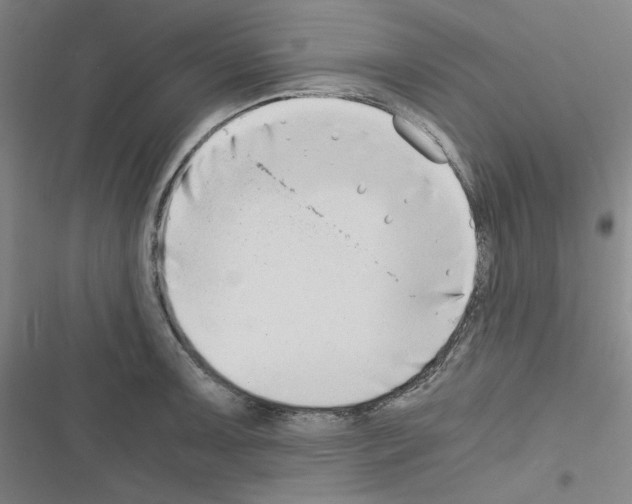 X0000116641091201001251131