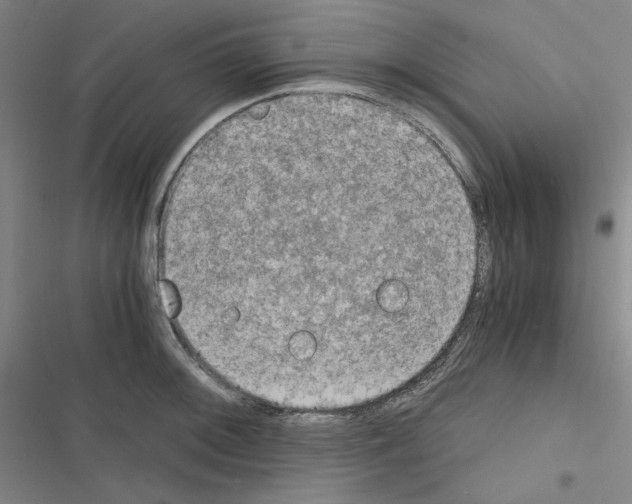 X0000116641092201001251131