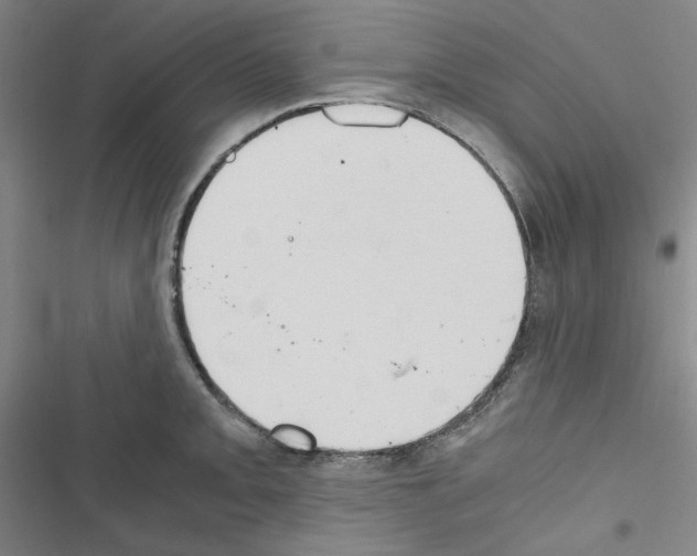 X0000116641093201001251131