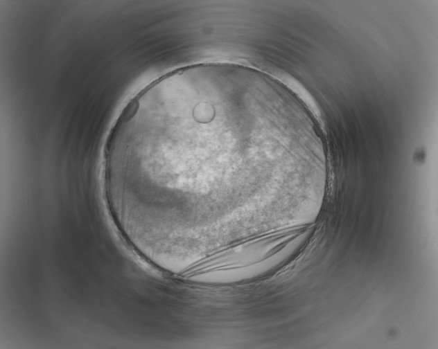 X0000116641096201001251131