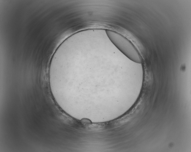 X0000116641097201001251131