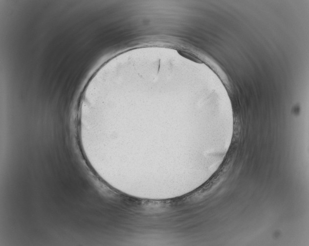 X0000116641099201001251131