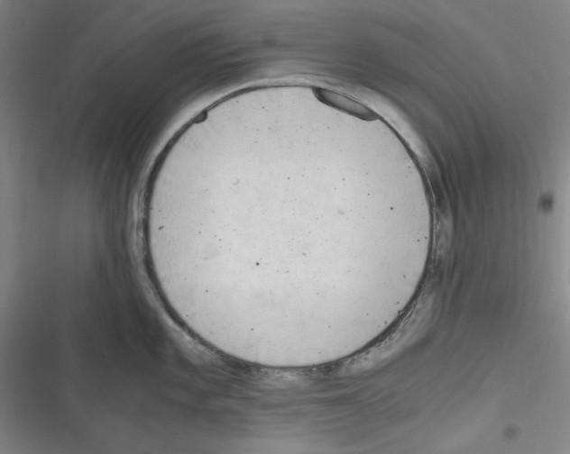 X0000116641101201001251131