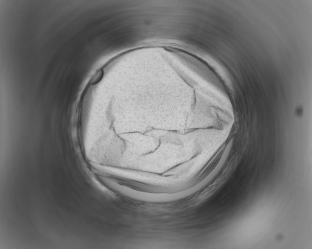 X0000116641102201001251131