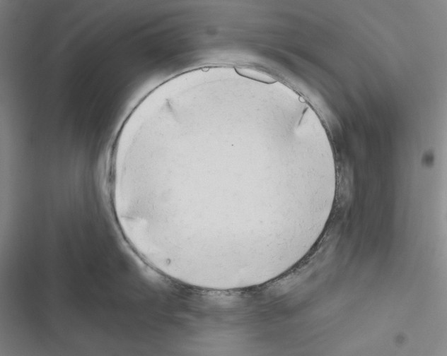 X0000116641103201001251130