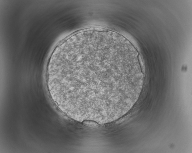 X0000116641104201001251130