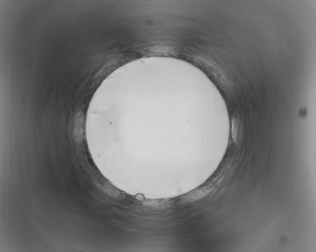 X0000116641107201001251130