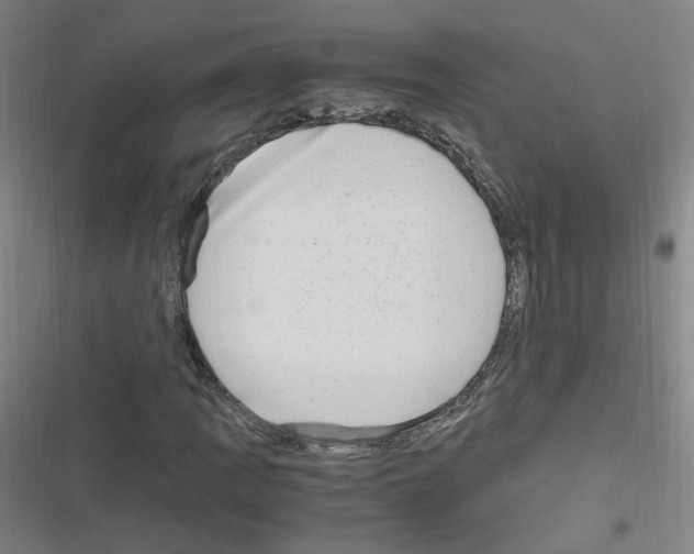 X0000116641109201001251130