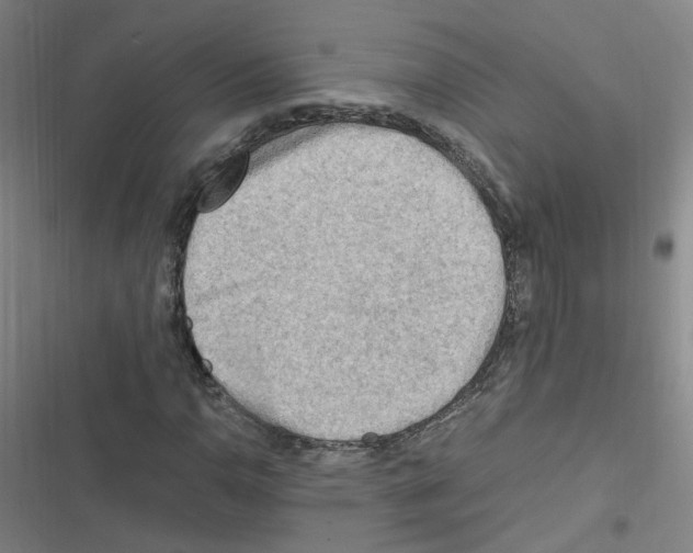 X0000116641110201001251130