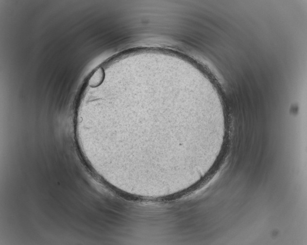 X0000116641114201001251130