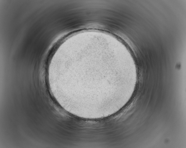 X0000116641115201001251130