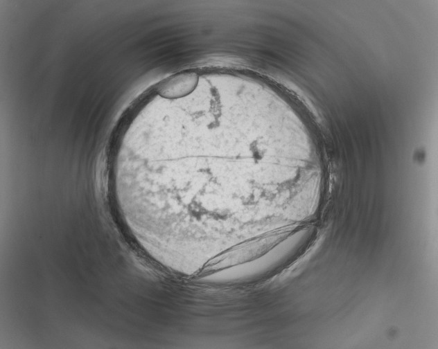 X0000116641117201001251130