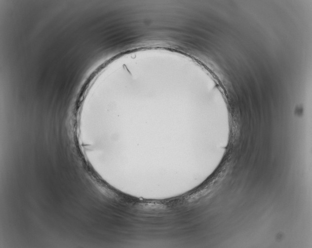 X0000116641119201001251130