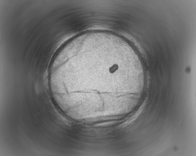 X0000116641121201001251130