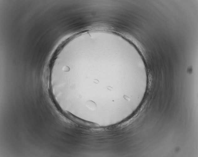 X0000116641123201001251130