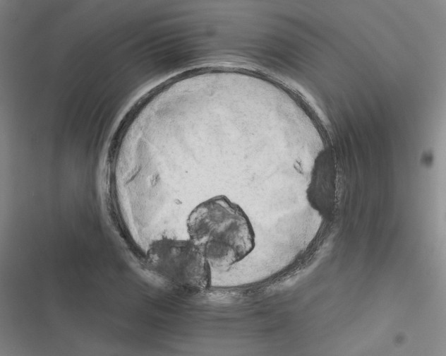 X0000116641125201001251130