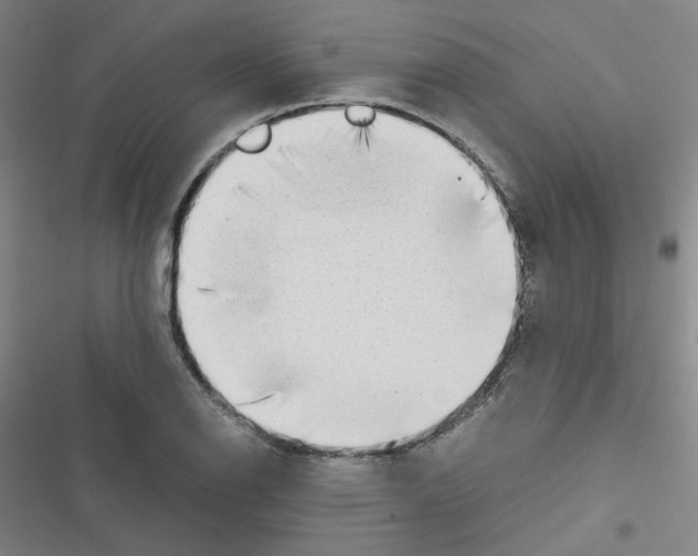 X0000116641126201001251130