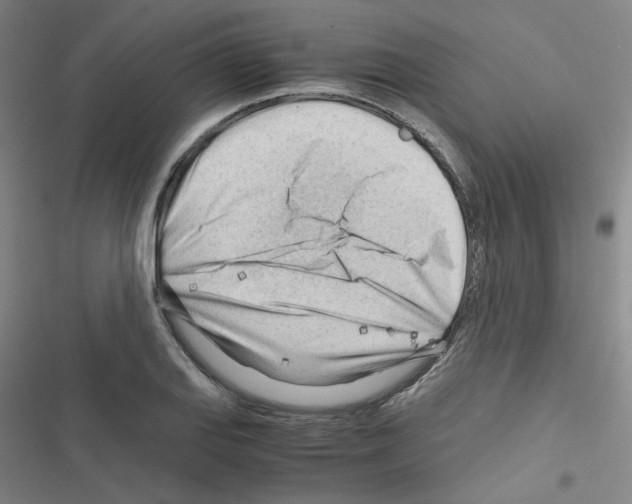 X0000116641127201001251130