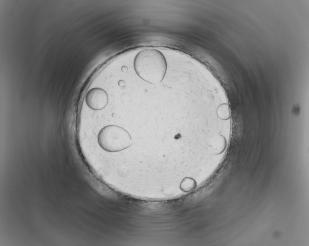 X0000116641130201001251130