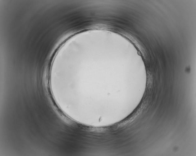 X0000116641131201001251130