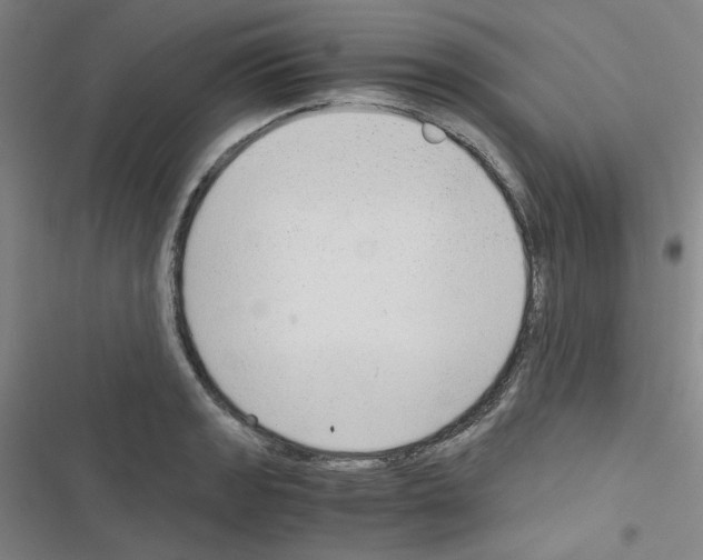 X0000116641133201001251130