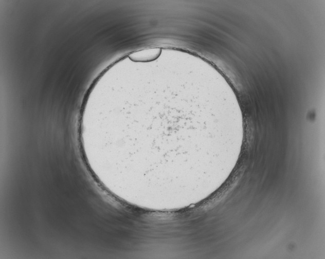 X0000116641134201001251130