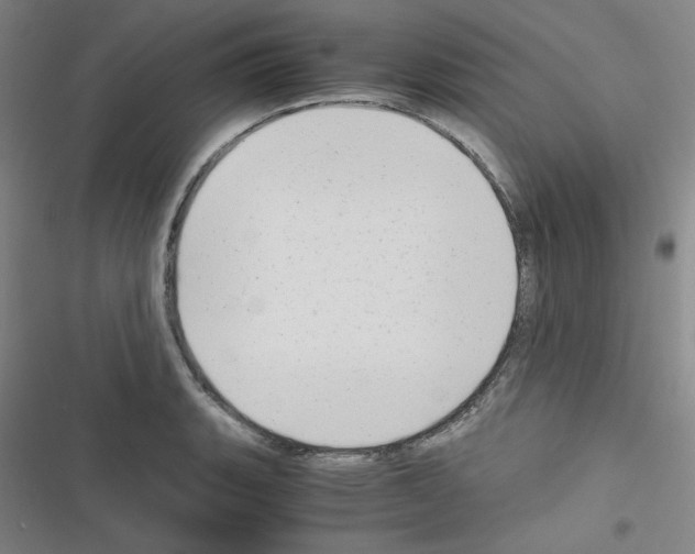 X0000116641135201001251130