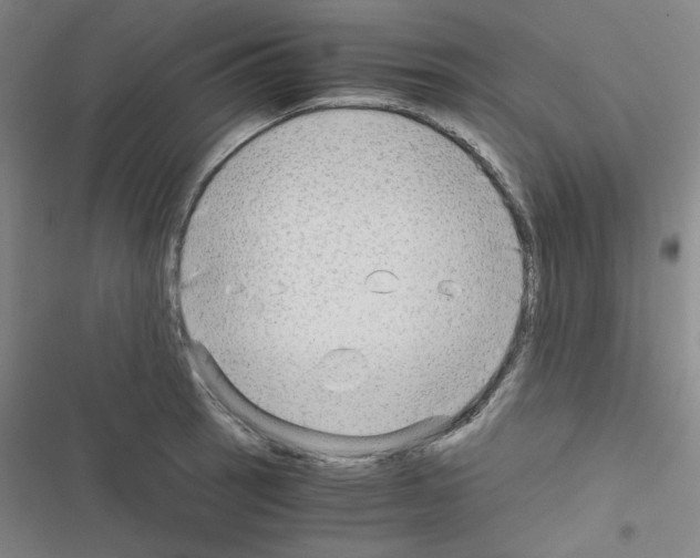 X0000116641137201001251130