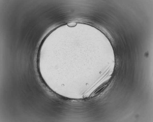 X0000116641138201001251130